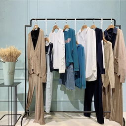 捕捉前端流行要素,還有國(guó)際化裁剪工藝 品牌女裝折扣衣佰匯批發(fā)走份